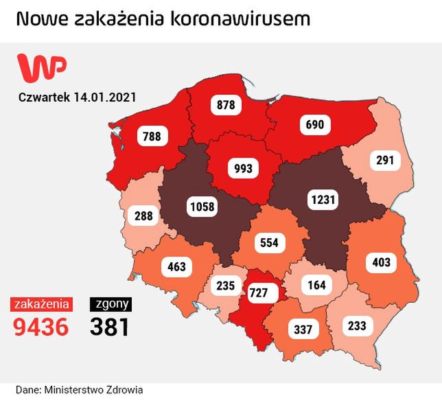 Koronawirus w Polsce. Najnowszy raport Ministerstwa Zdrowia 