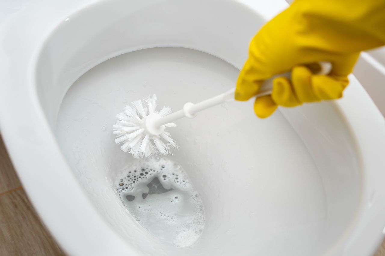 Clean your toilet with a sightly cheap and effective product