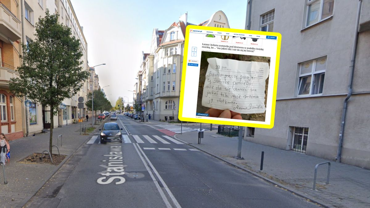 Bulwersująca sytuacja w Poznaniu.