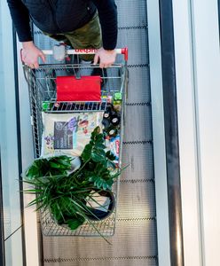 Niedziele handlowe 2021. Sklepy otwarte 21 lutego. Gdzie zrobimy zakupy?