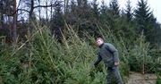 Lublin: Leśnicy z choinkami dla dawców krwi