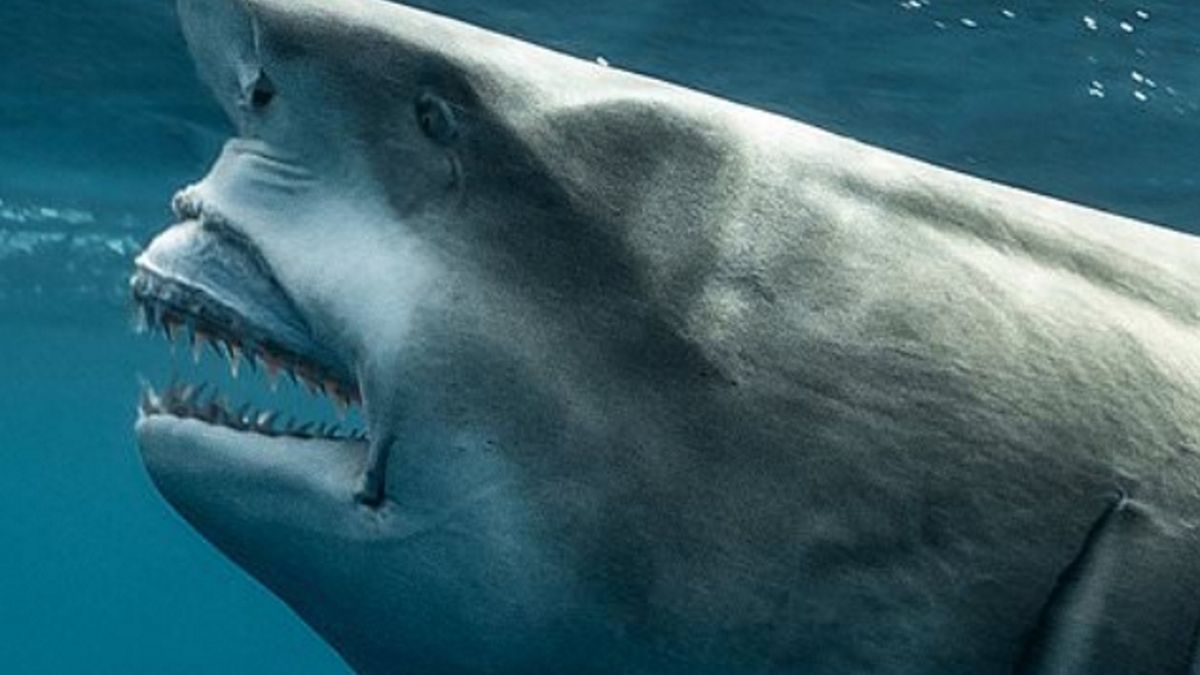 Widzicie jakieś podobieństwo?