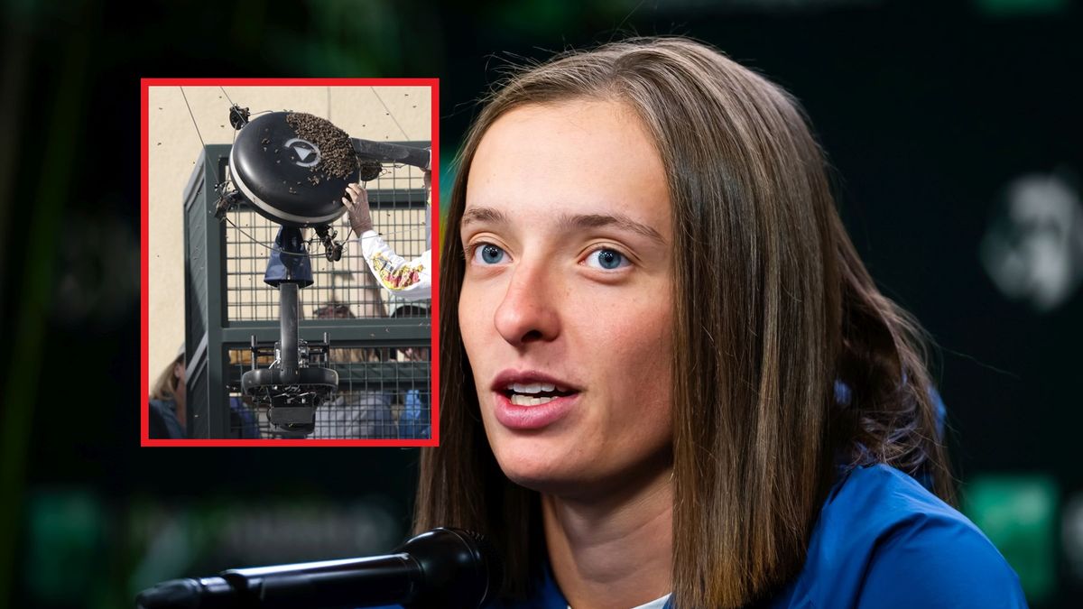 Na zdjęciu: Iga Świątek, w ramce inwazja pszczół (EPA/JOHN G. MABANGLO)