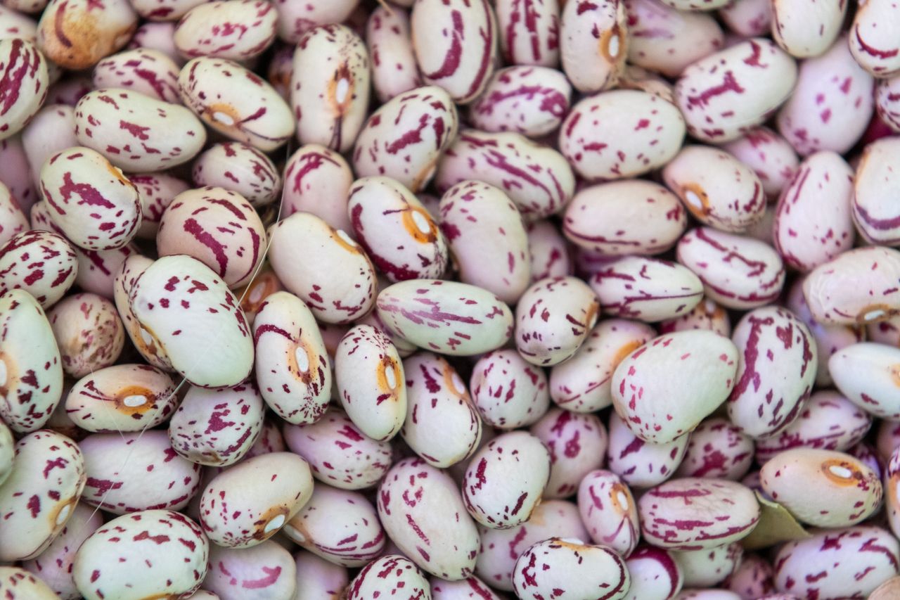 Discover the health benefits of pinto beans in your meals