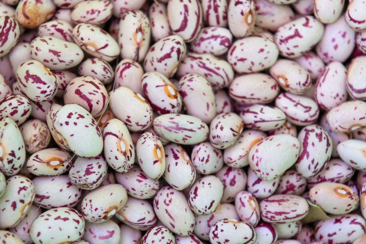 Pinto beans