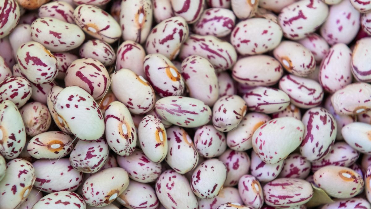 Close up shot of pinto beans filling the frame
Ernesto r. Ageitos