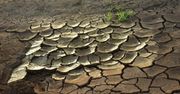 Grożą nam megasusze. Naukowcy grzmią