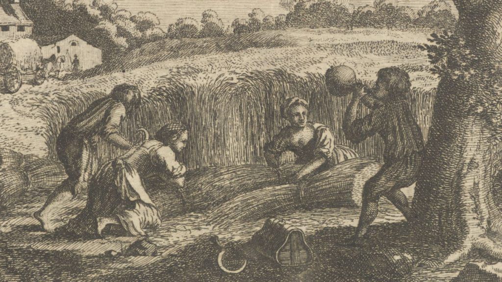 Kobiety podczas żniw. Rycina XVIII-wieczna