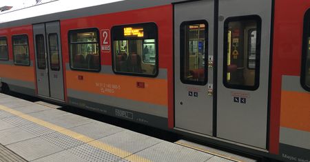 Biegała po torach i krzyczała. W pociągu odjechały jej dzieci