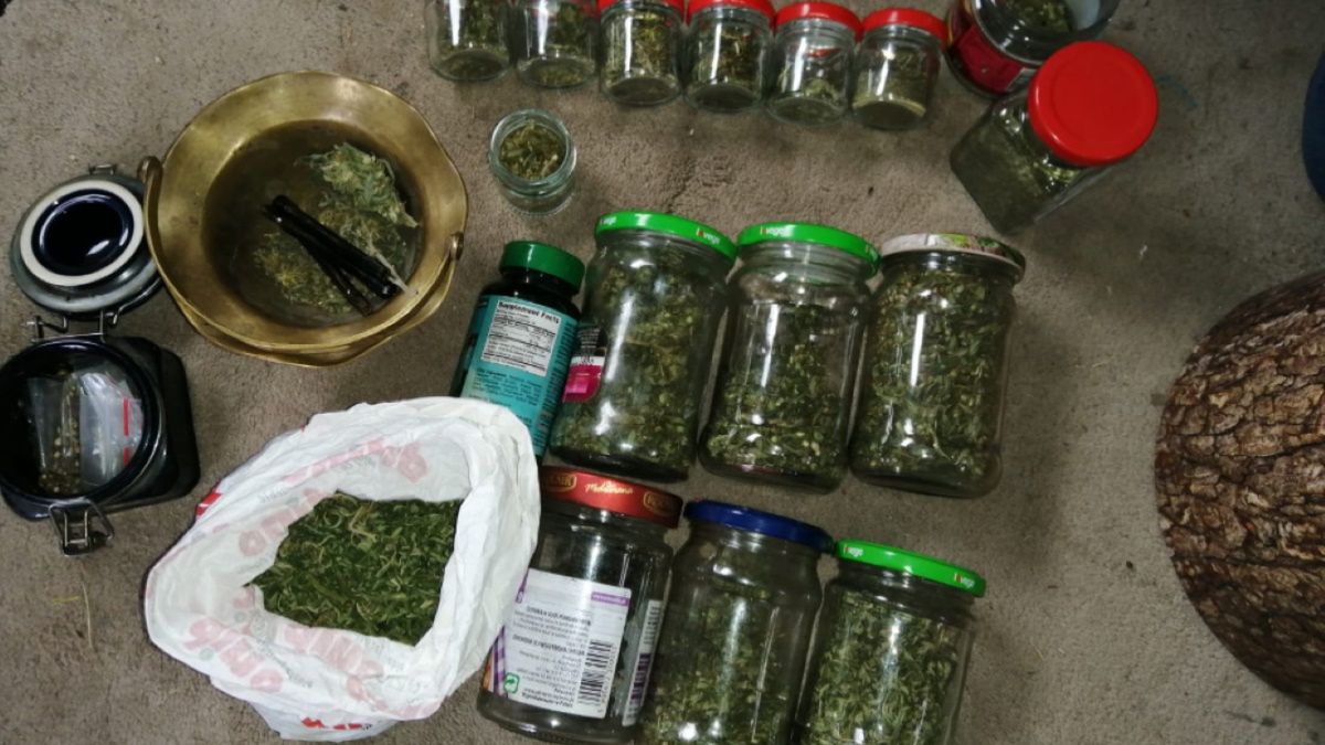 W trakcie czynności policja zabezpieczyła susz o wartości ponad 4 tysięcy złotych 