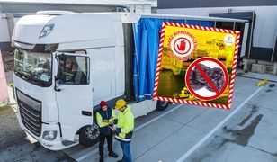 Kilkanaście ton owoców z USA zatrzymane. To wykryły polskie służby