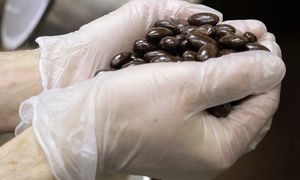 Możesz ją jeść bez obaw. Spowalnia starzenie