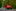 Abarth 500 esseesse & Fiat 500 1,2 Sport