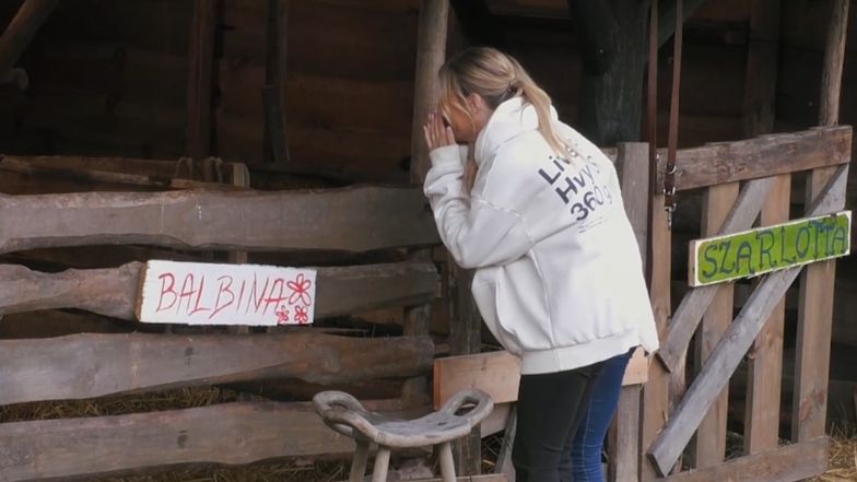 Marcelina Zawadzka zachwyca się narodzinami krowy: "To jest cud" 