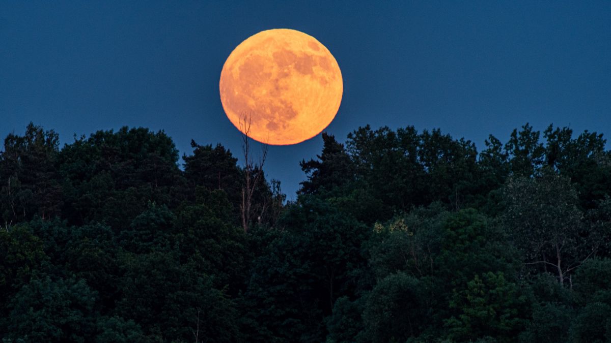 Truskawkową pełnię będzie można podziwiać w nocy z 10 na 11 czer