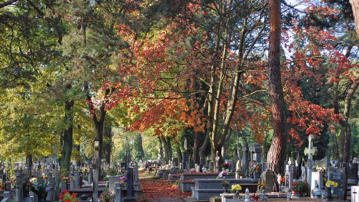 W niektórych miejscach w Polsce występują tylko cmentarze parafi