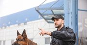 Marzysz o psie obronnym? Sprawdź, czy nadajesz się na opiekuna