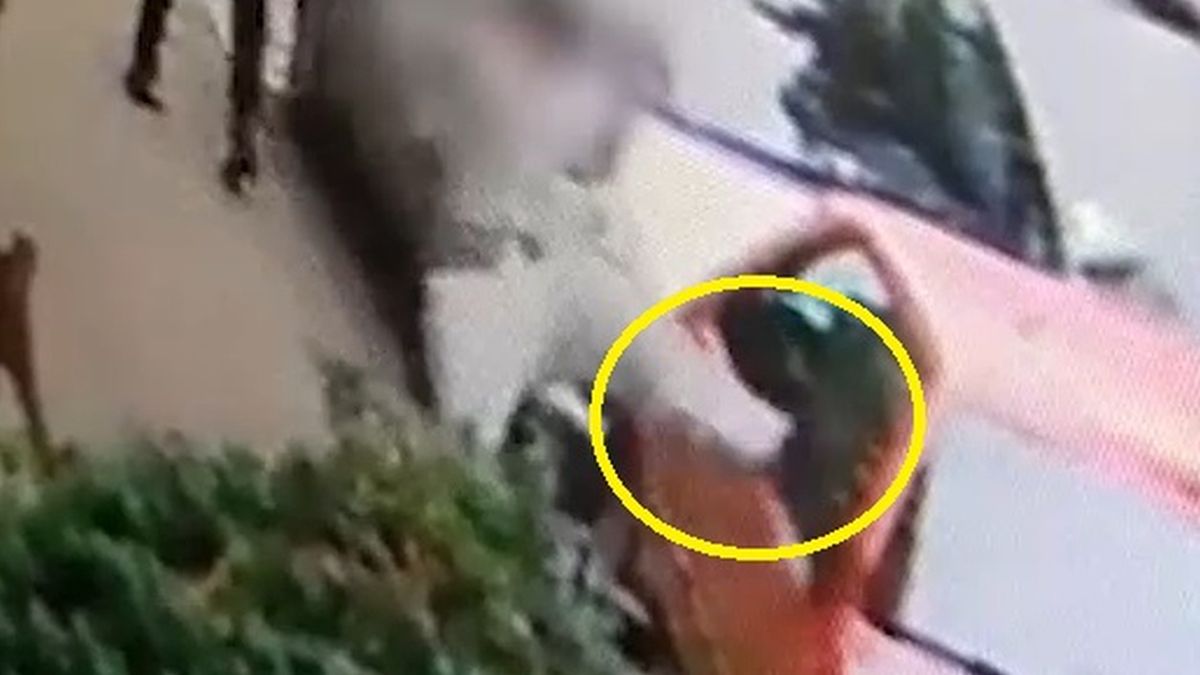 Zdemolował samochody.