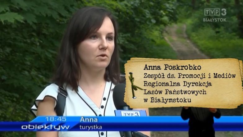 Wpadka Telewizji Polskiej