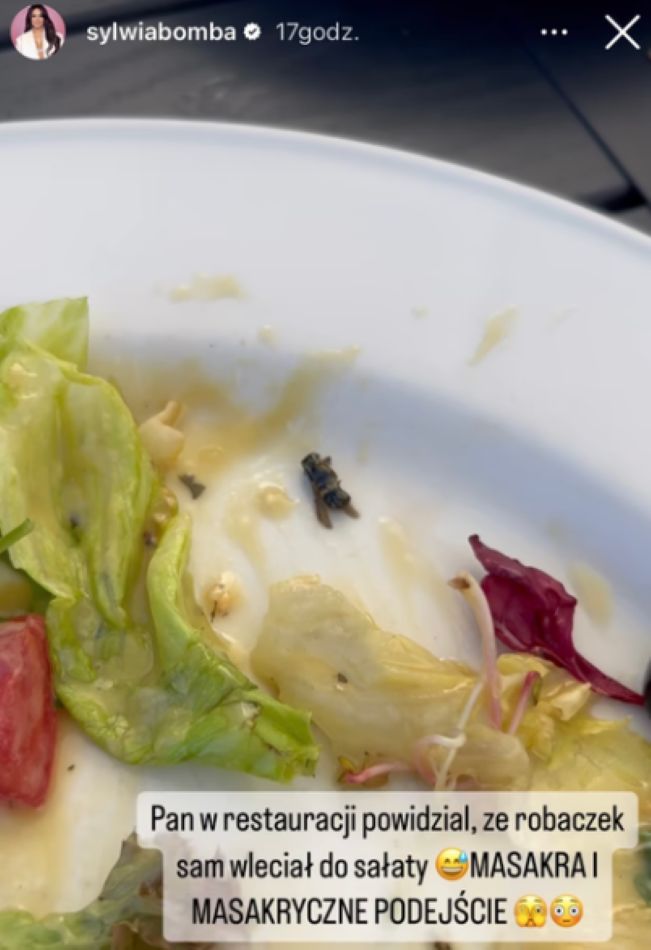 Owad w sałatce Sylwii Bomby