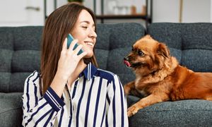 Podsłuchują swoich właścicieli. Tak psy uczą się nowych słów