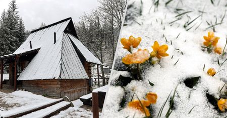 Wróciła zima. Kilka województw na mapie. Zakopane całkowicie białe