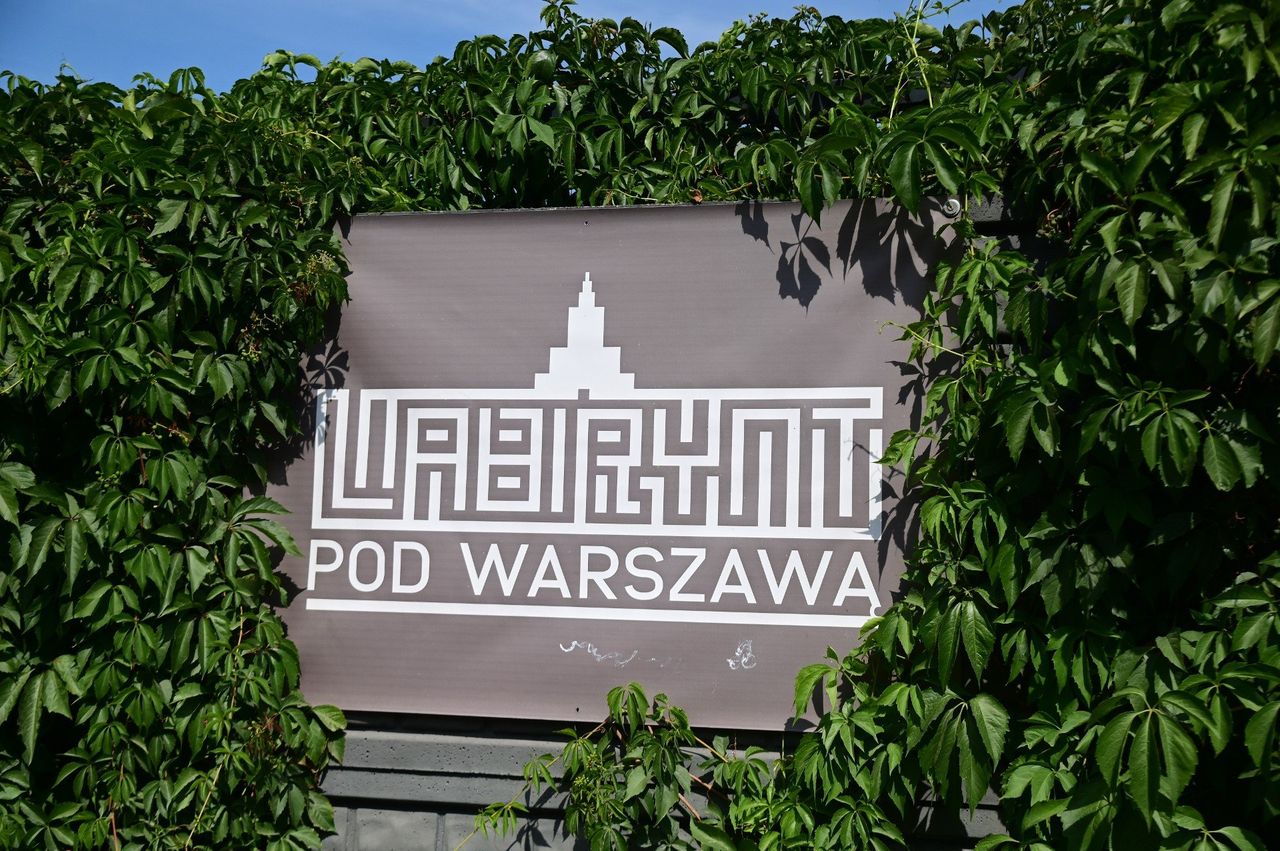 Gigantyczna konstrukcja pod Warszawą. Drewniany labirynt robi wrażenie. Każdy może tam wejść