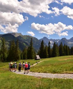 Turyści łamią przepisy w Tatrach. To robią najczęściej