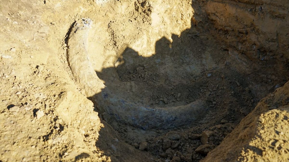 Szokujące odkrycie 8-latka