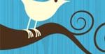 Twitter - wybory w Iranie pokazały jego sens