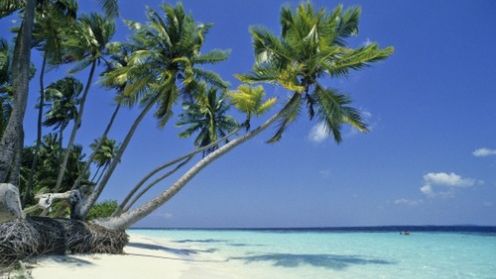 Poradnik plażowicza-komórkomaniaka 1