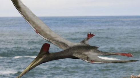 Indiana Jones w spódnicy 1