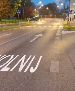 Jaworzno. Namalowane na drodze napisy mają ostrzegać