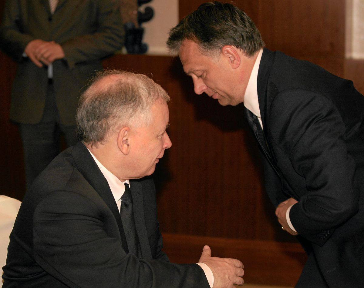 Orban połączy siły z PiS? "Były rozmowy na poziomie prezesów"