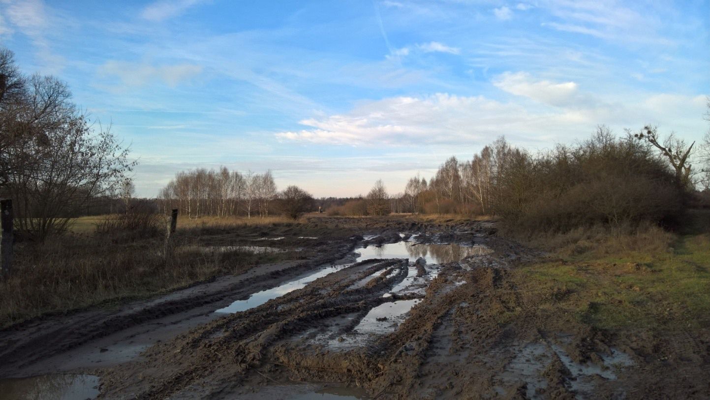 Microsoft Lumia 950 - test i recenzja 25