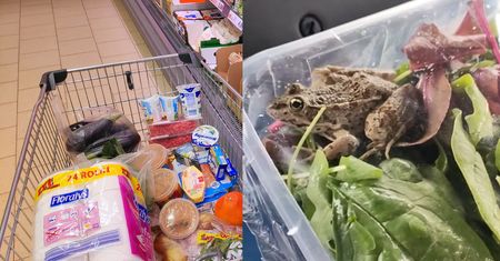 Kupiła mix sałat w popularnym sklepie. Nagle w opakowaniu zaczęło coś skakać