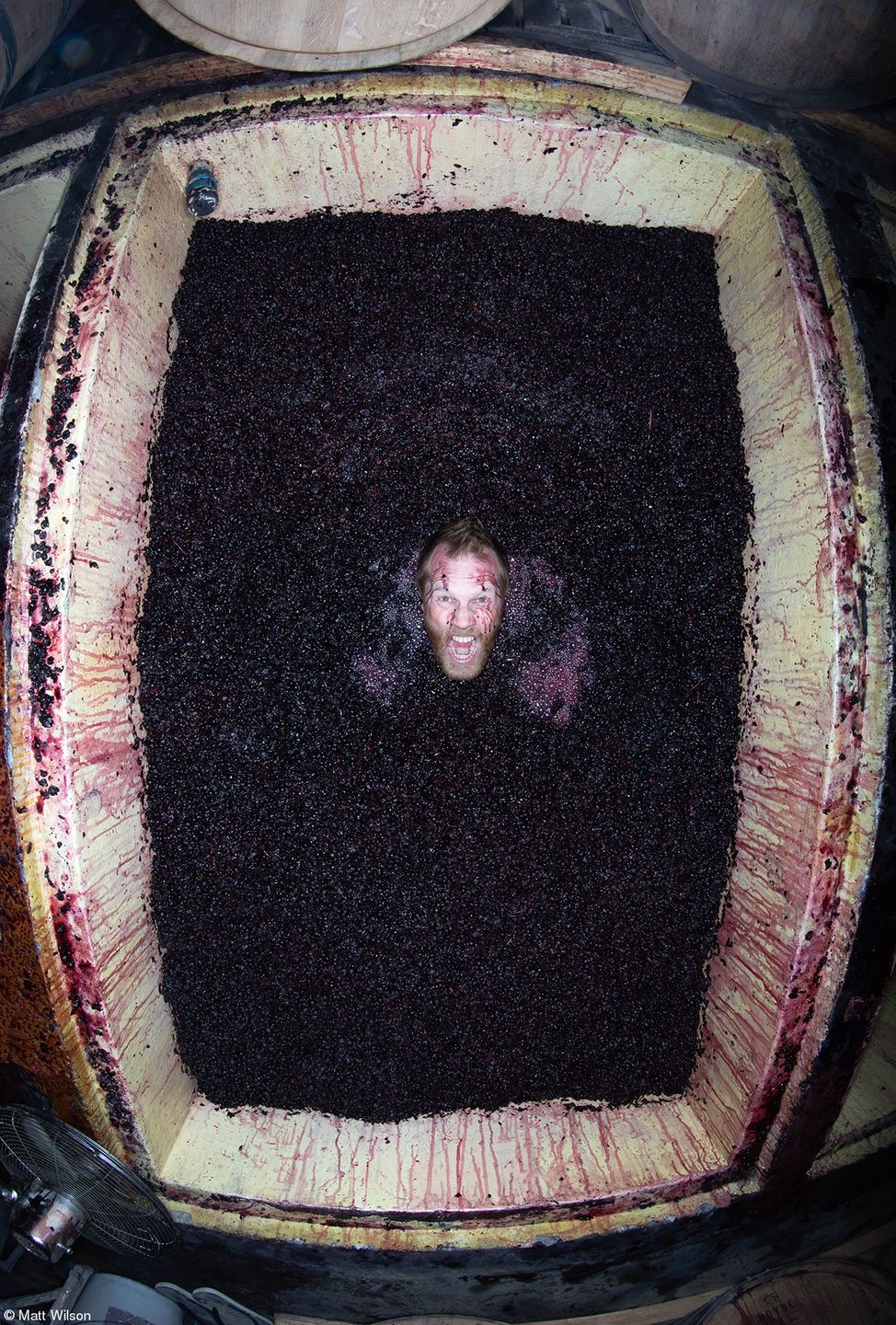 Najsmaczniejsze zdjęcia kulinarne 2019 roku. Zobacz, wyniki konkursu 11