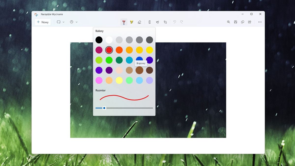 Narzędzie Wycinanie w Windows 11