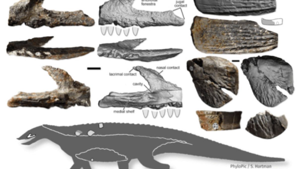 Znaleziska dokonano w woj. opolskim.