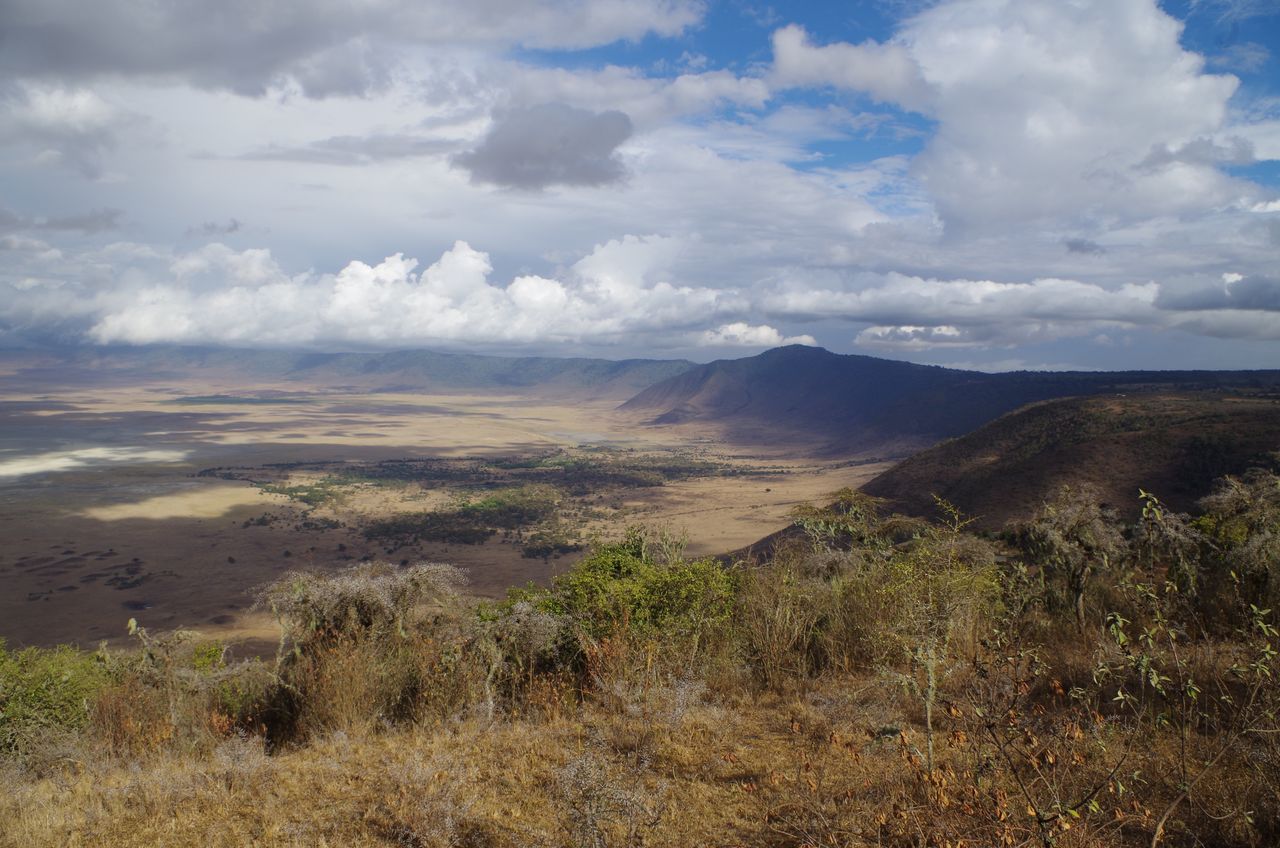 Landscape in Ngorongoro Park