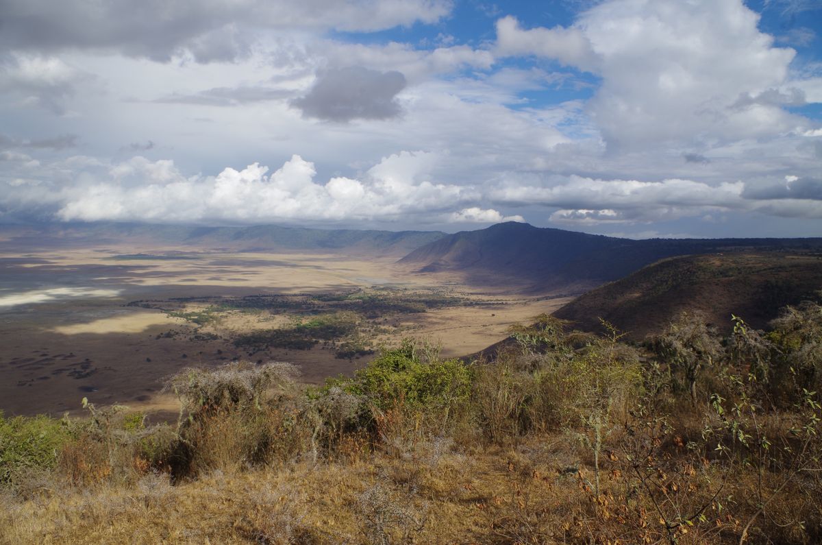 Krajobraz w parku Ngorongoro