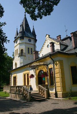 Obraz