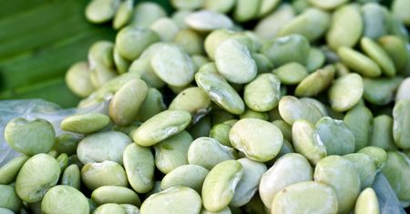 Młoda fasola limeńska w puszce bez dodatku soli (produkt i płyn)