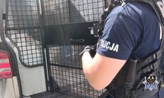 Miał się zaopiekować labradorem. Powiesił go na drzewie