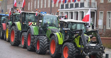 Oto ile produktów rolnych wjechało z Ukrainy do Polski. Podali liczby