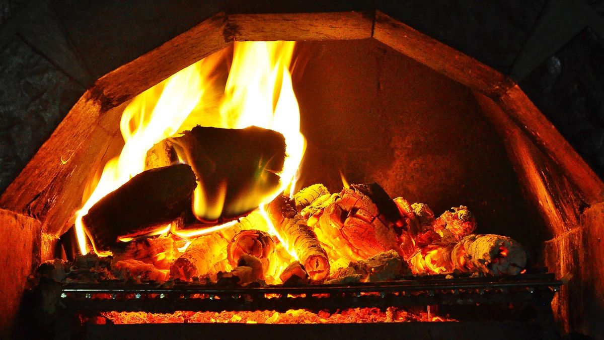 Organizacje antysmogowe chcą zakazu palenia w kominkach