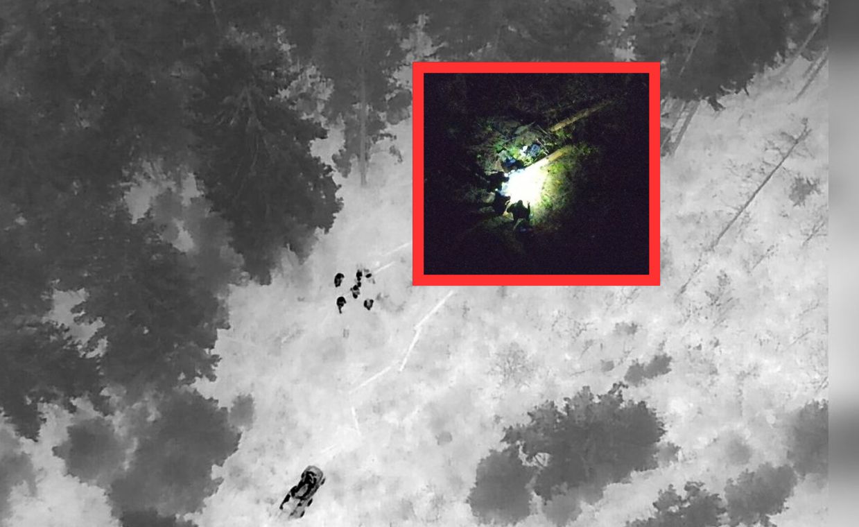 Tragiczny finał grzybobrania. Dron zlokalizował ciało