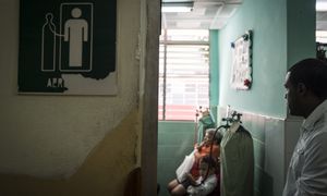 Kuba: rośnie liczba ofiar dengi i chikungunyi. Większość to dzieci