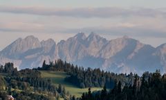 Pilne poszukiwania z zaskakującym finałem. Zauważyli, co robi w lesie