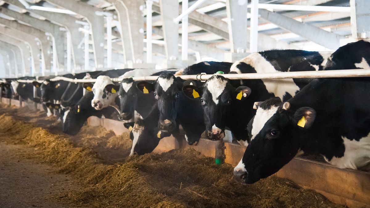 Do 20 września można składać wnioski w ramach PROW 2014-2020